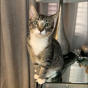 Meet your Posher, Irene